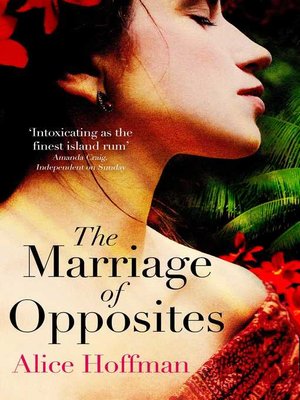 cover image of The Marriage of Opposites